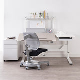 Comfpro M30 Dual Height Adjustable Ergonomic Standing Desk