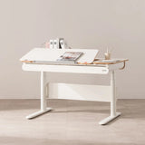 Comf Pro Auto 1200 Electric Ergonomic Standing Desk