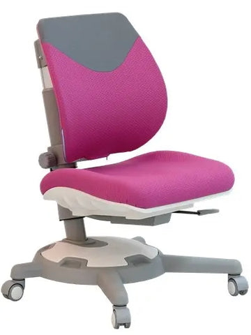 Y1018 Ultra Back Ergonomic Chair